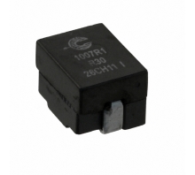 FP1007R1-R30-R attēls