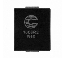 FP1006R2-R16-R attēls