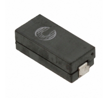 FP1505R1-R40-R attēls