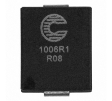 FP1006R1-R08-R attēls