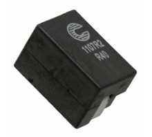 FP1107R2-R40-R attēls